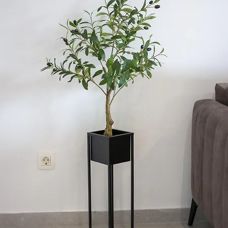 Apartament San Salvatore Sweet